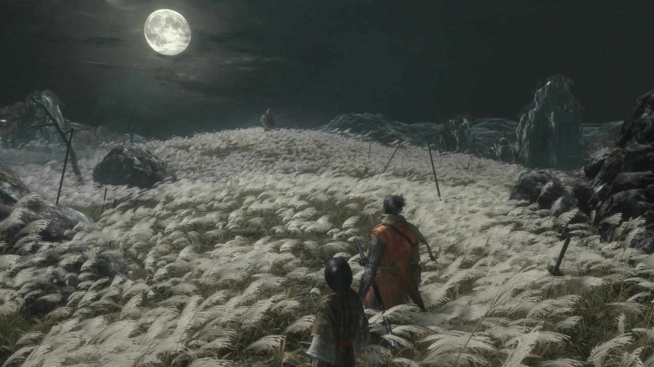 只狼：影逝二度 Sekiro：Shadows Die Twice v1.06+v1.04+整合几十个MOD 免安装中文年度版[30.5GB]【B2671】