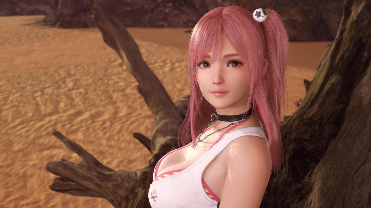 死或生：维纳斯璀璨假期 Build.18217496.v1.05.20250502+全DLC+预购特典 免安装中文豪华版[12.3GB]【B5176】