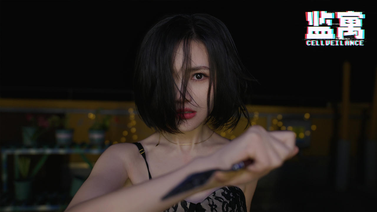 监寓 Cellveillance v20250605 免安装中文版[56.8GB]