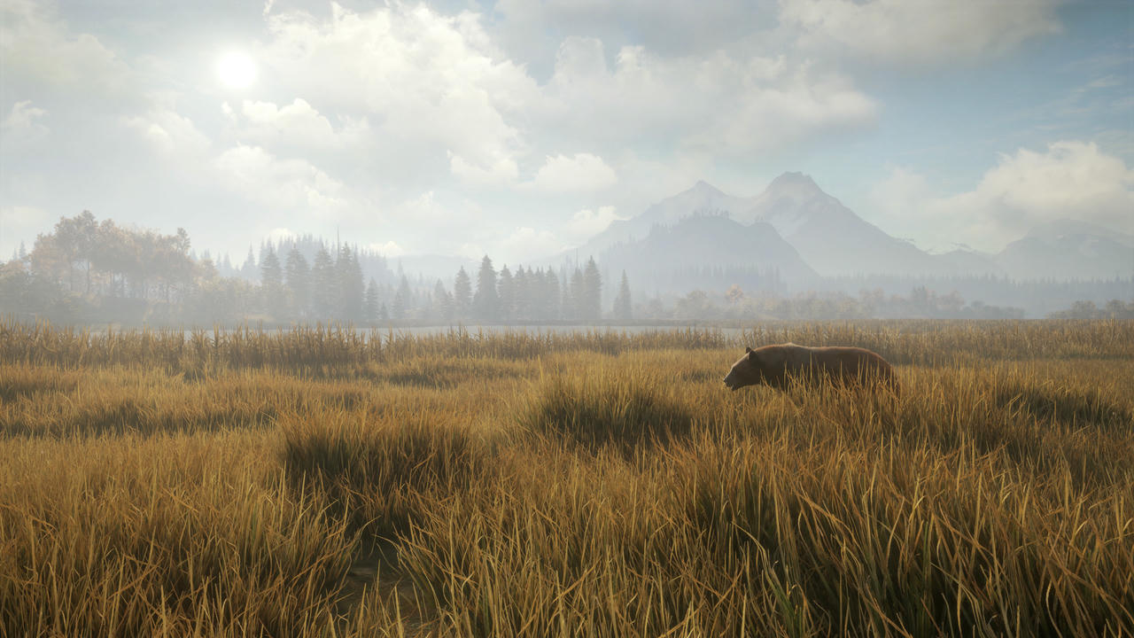 猎人：野性的呼唤 the Hunter：Call of the Wild 猎人：荒野的召唤 v3028143.20250623+66DLCs 免安装中文版[101GB]【B5503】