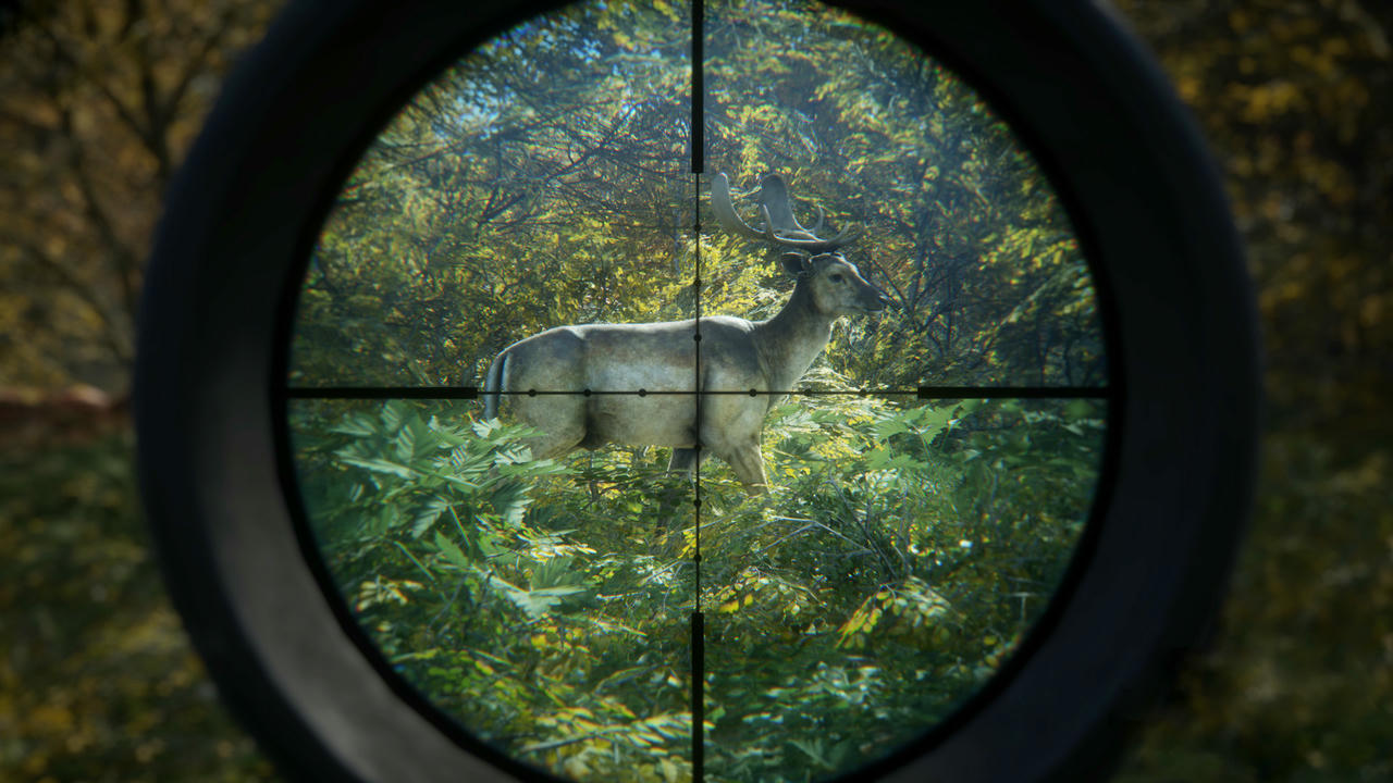 猎人：野性的呼唤 the Hunter：Call of the Wild 猎人：荒野的召唤 v3028143.20250623+66DLCs 免安装中文版[101GB]【B5503】
